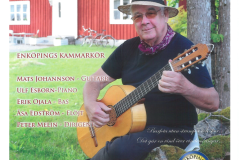 2009-affisch-i-ditt-sommarhus-med-enkopings-kammarkor